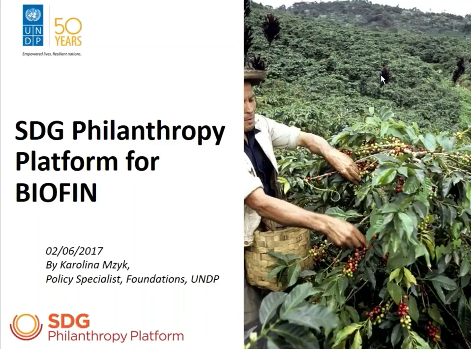 Biofin Webinar Engaging With Foundations For Biodiversity Finance Biofin 2859